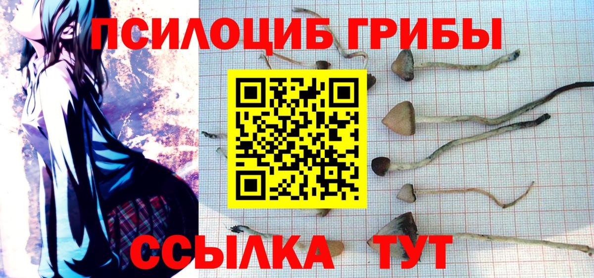 Псилоцибиновые грибы Magic Shrooms  Вход с VPN  наркота  Рязань 